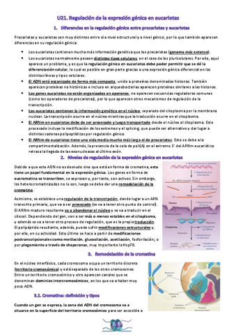 U21.-Regulacion-de-la-expresion-genica-en-eucariotas.pdf