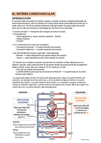 Tema-5-Sistema-cardiovascular.pdf