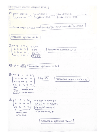 Simulacro-parcial-de-algebra-2022.pdf