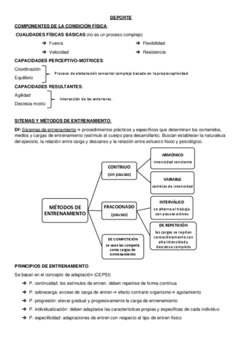 DEPORTE-1ev.pdf