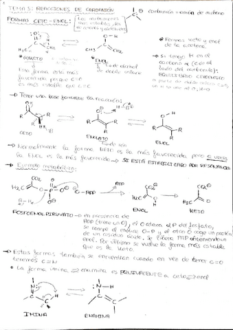 Quimica-Organica-Tema-5.pdf