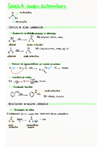 tema-acidos-carboxilicos.pdf