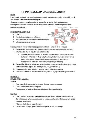 15.-HANTURA-ETA-MINAREN-FARMAKOLOGIA.pdf