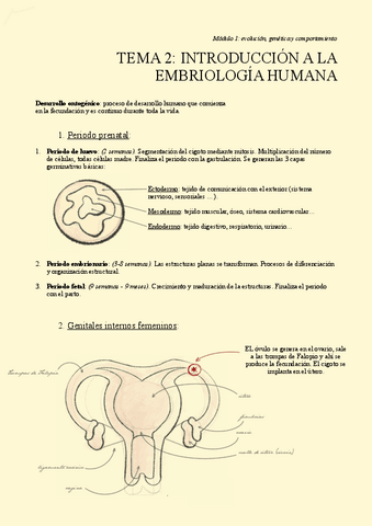 TEMA-2.-Introduccion-a-la-embriologia-humana.pdf