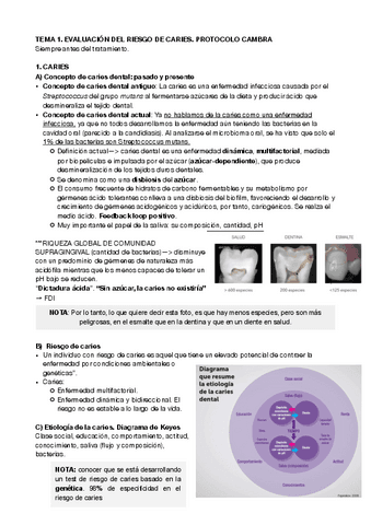 preventiva-6.pdf