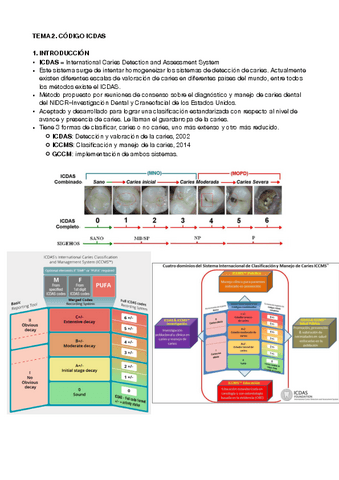 preventiva-7.pdf