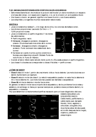 t22-maxilo.pdf