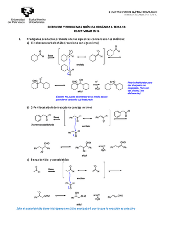 13.-Ejercicios-resueltos.pdf