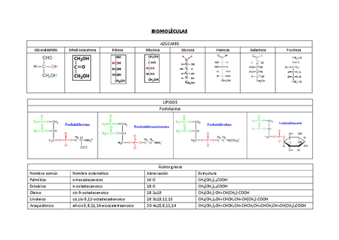 Biomoleculas-tabla.pdf