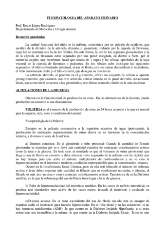 FisiopatologÃ-a Urinario.pdf