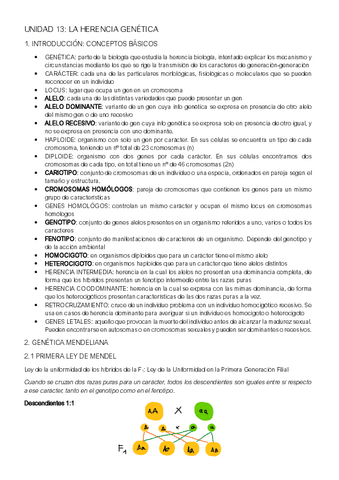 UNIDAD-13.pdf