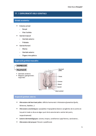 T7.-1-EXPLORACIO-DELS-GENITALS.pdf