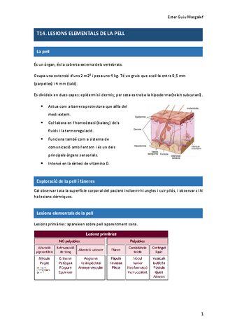 T14.-LESIONS-ELEMENTALS-DE-LA-PELL.pdf