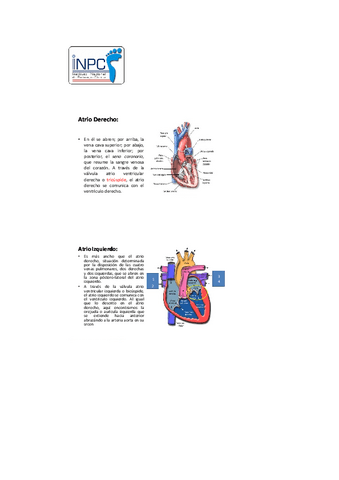 Original-manual-de-podologia-clinica-8.pdf