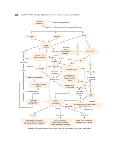 Pie-Diabetico-Atencion-Integral-S-17.pdf