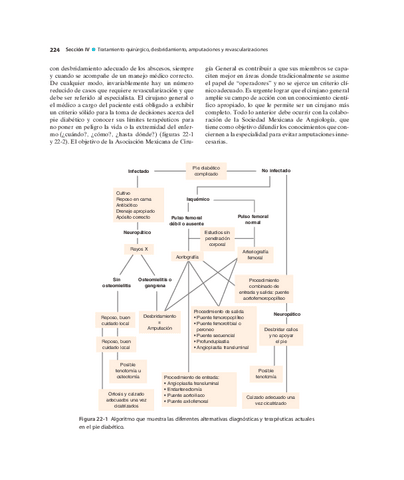 Pie-Diabetico-Atencion-Integral-S-18.pdf