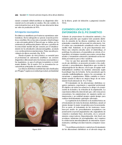 Pie-Diabetico-Atencion-Integral-S-23.pdf