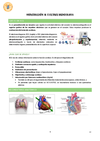 INTRODUCCION-ECG.pdf