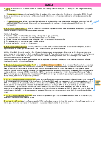 Resumen-Todos-Los-Temas.pdf