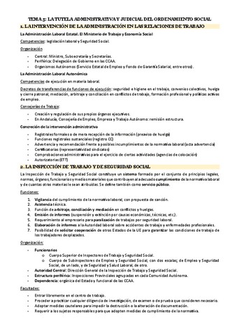 TEMA-5.pdf