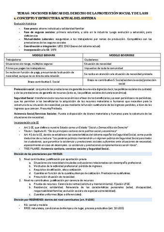 TEMA-6.pdf