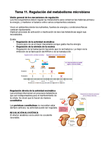 T11-Regulacion-del-metabolismo-microbiano-pdf.pdf