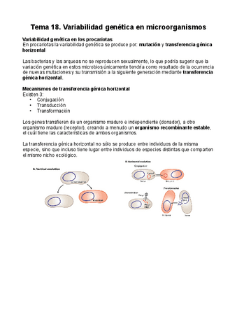 T19-Variabilidad-genetica-en-microorganismos-pdf.pdf