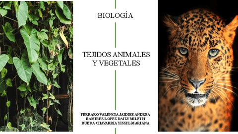 tejidos-animales-y-vegetales.pdf