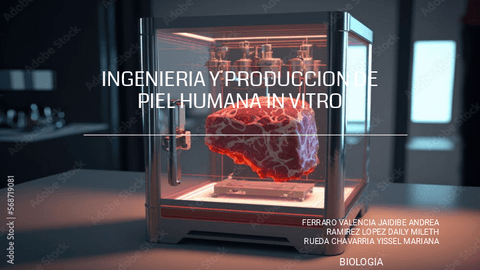 INGENIERIA-Y-PRODUCCION-DE-PIEL-HUMANA-IN-VITRO.pdf