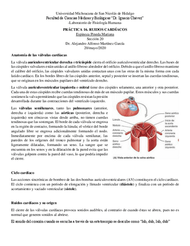 Practica-16.-Ruidos-Cardiacos.pdf