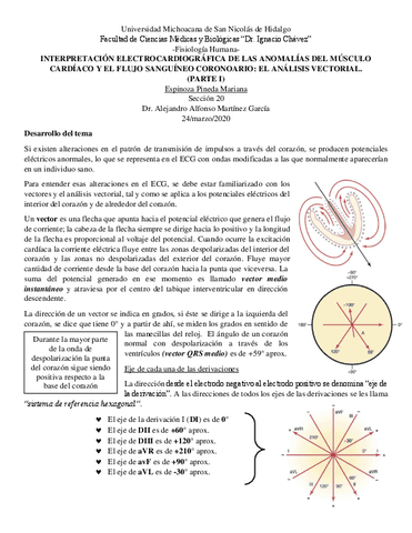 Resumen-anomalias-cardiacas.pdf