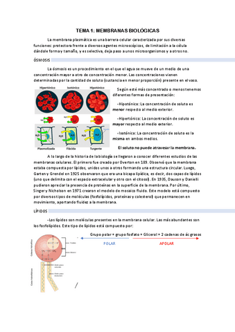 Biologia-1er-cuatrimestre.pdf