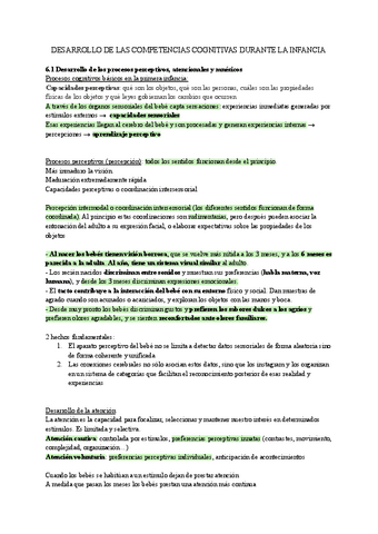 Desarrollo-I-T6.pdf
