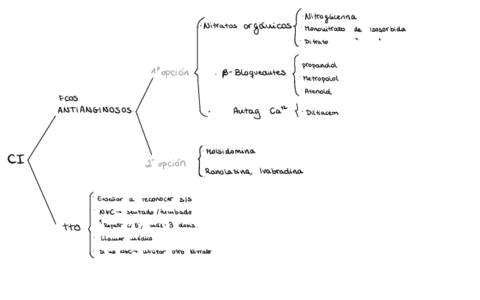 2.7.-Cardiopatia-Isquemica.pdf