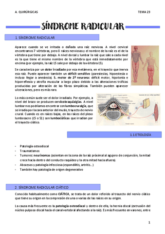 SINDROME-RADICULAR-T23.pdf