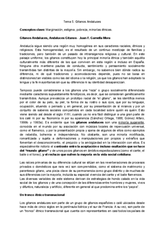 Tema-5-Cultura-Andaluza.pdf