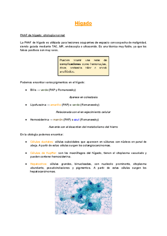 Higado.pdf