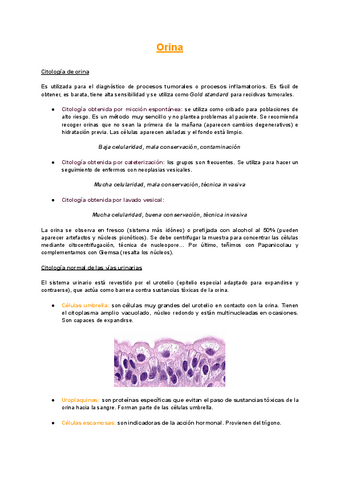 Orina.pdf