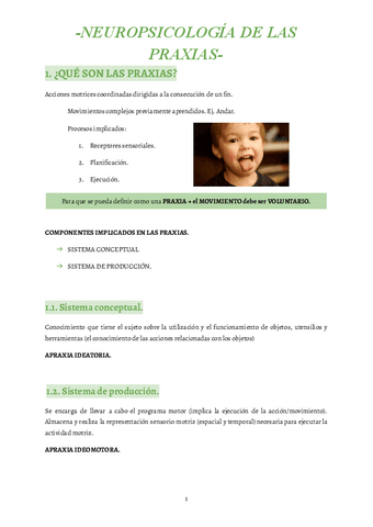 4-Neuropsicologia-de-las-praxias.pdf