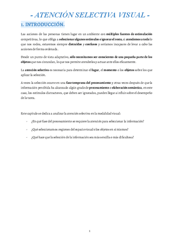 3-Atencion-selectiva-visual.pdf