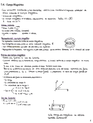 T.4.-Campo-Magnetico.pdf