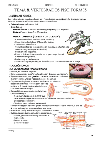 Tema-8-Vertebrados-pisciformes.pdf