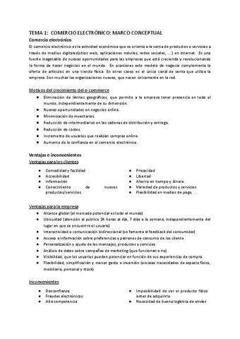 Comercio-electronico-Tema-1.pdf