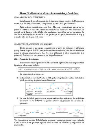 Tema-13-ByM.pdf