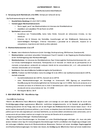 Tema-11-Vorsprunch-duch-Rechtsbruch-t.pdf