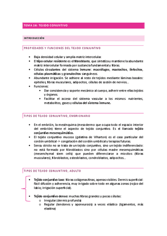 Tema-16-castellano.pdf