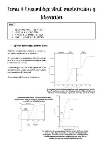 tema-11-viro.pdf