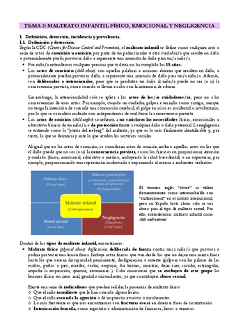 EVOLUTIVA-T2-MALTRATO-INFANTIL.pdf