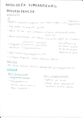 Patologia-suprarrenal.pdf