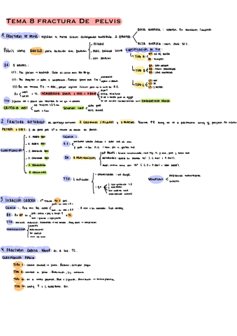 Trauma-T8.pdf